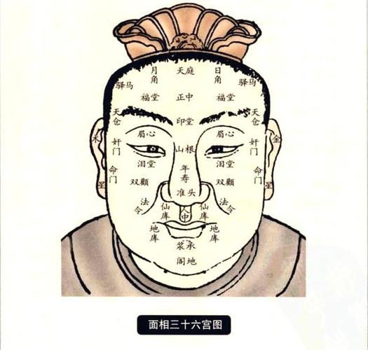 面相准头看财运_准头有肉真的有钱吗