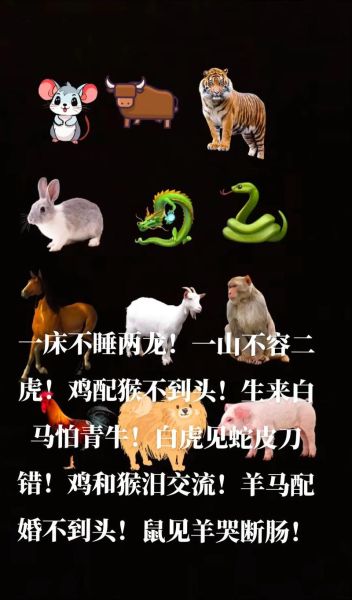 属相不合的婚姻有哪些_属相不合真的不能结婚吗