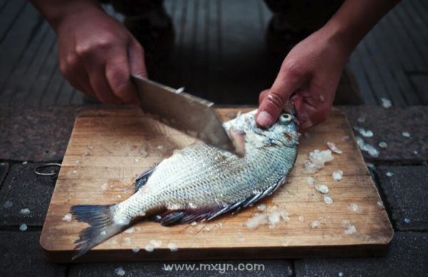 梦见杀鱼是什么意思_梦到杀鱼好不好