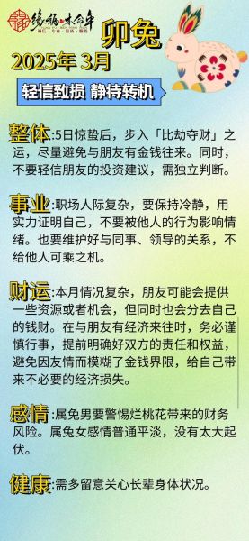 属兔的人适合什么职业_属兔2025年运势如何