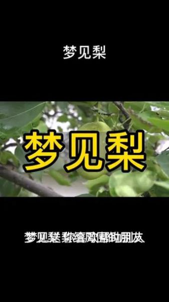 梦到扯草是什么意思_扯草梦境解析