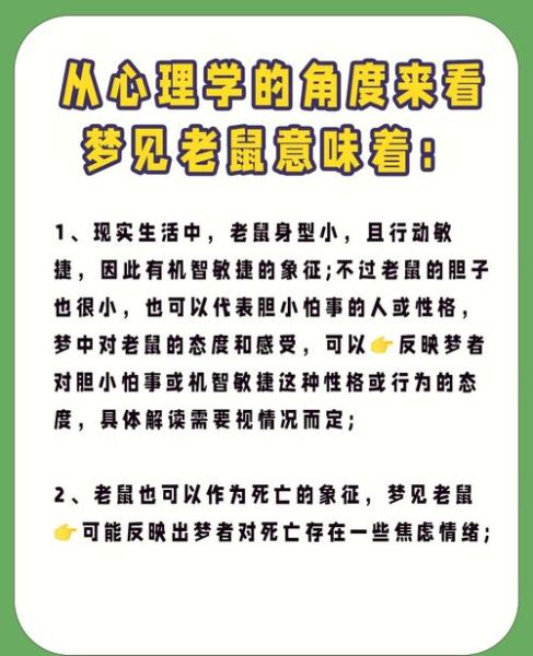 梦到一只大老鼠_是什么意思