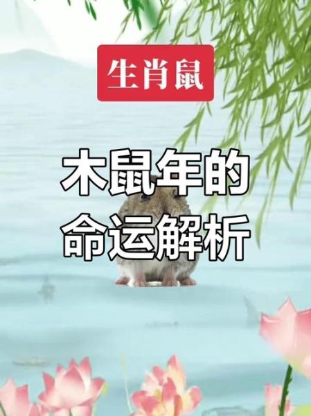 鼠年属相年份有哪些_属鼠的人性格如何