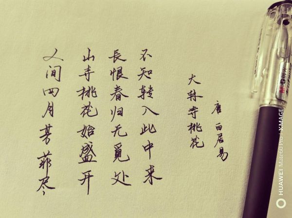 梦到桃花开是什么意思_桃花盛开梦境解析