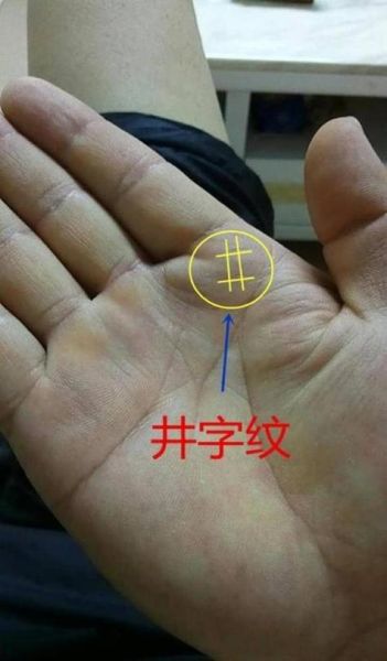 财运线多代表什么_财运线多好不好