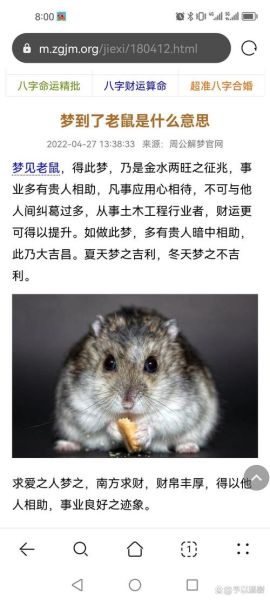 梦到消灭老鼠_梦见打死老鼠是什么意思