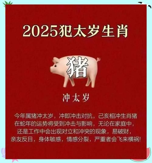 属虎猪年运势如何_属虎人猪年犯太岁吗