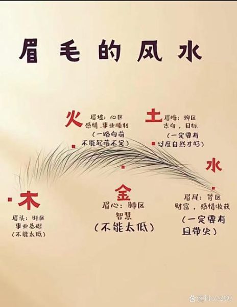 眉运财运_眉形真的能影响财富吗
