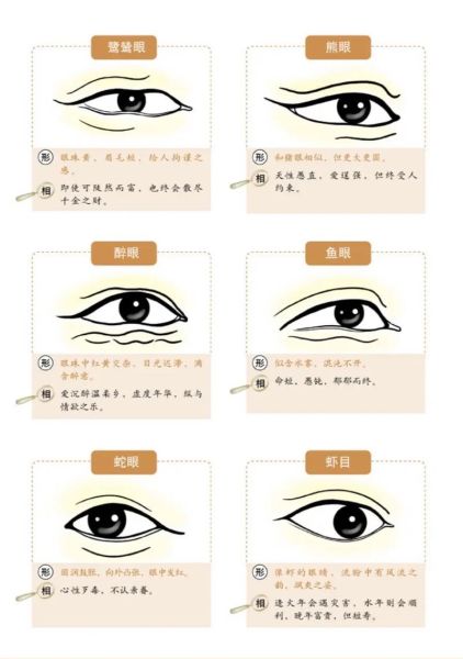 眼睛代表财运吗_眼睛形状与财富关系