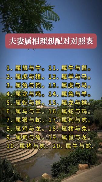 爱情属相测试准吗_属相配对能决定婚姻吗