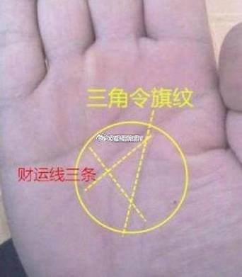 手相看财运怎么看_手相财富线在哪