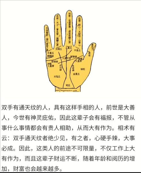 掌纹看财运准吗_如何从掌纹看财运