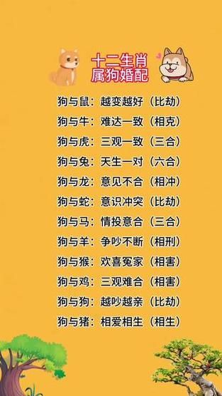 狗最配的属相是什么_属狗最佳婚配属相