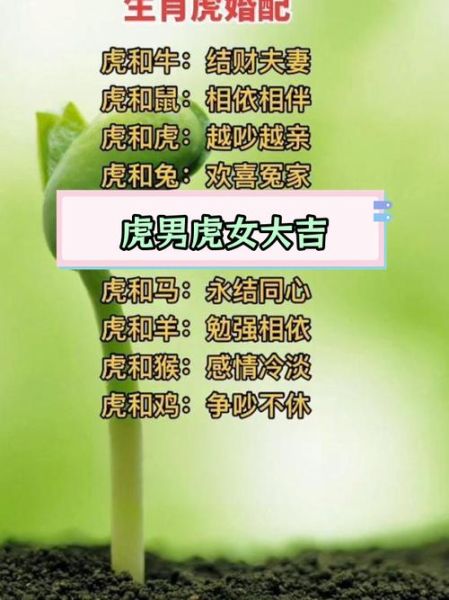 与虎最配的属相是什么_属虎最佳婚配属相