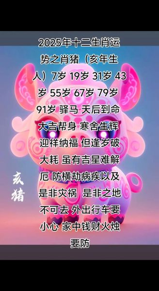 属猪的人性格特点_属猪人2025年运势如何