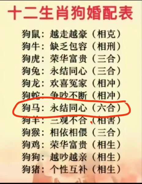 属羊和属狗的婚姻合不合_属羊和属狗相冲吗
