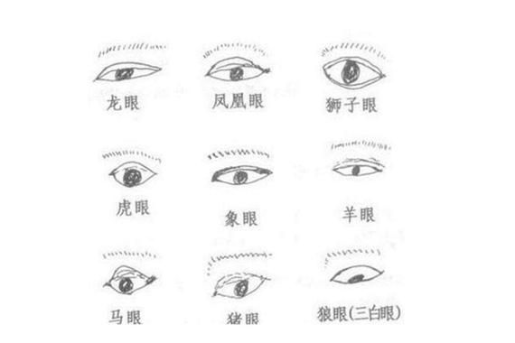 什么眼睛财运好_眼睛形状与财富关系