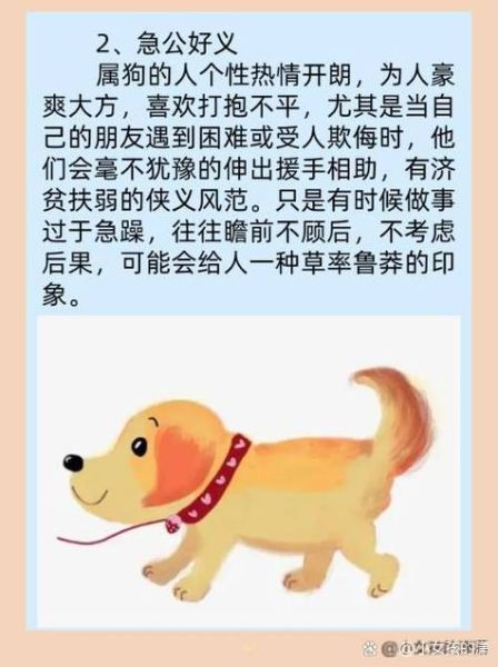狗前面是什么属相_狗年冲什么生肖