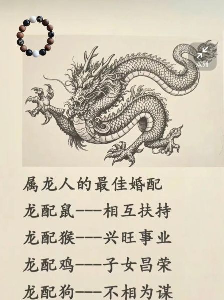 男属龙和什么属相最配_男属龙婚配禁忌
