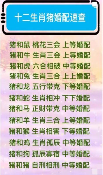 属猪的人命运如何_属猪一生运势详解