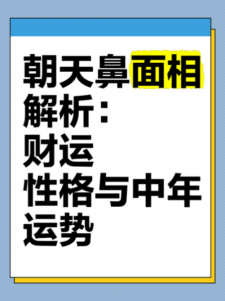 短鼻财运真的好吗_短鼻如何提升财运