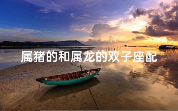 属猪和属龙相配吗_猪龙婚姻运势如何