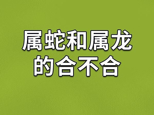属蛇和属龙相配吗_蛇龙婚姻能长久吗
