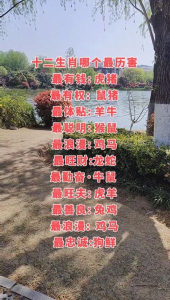哪个属相最厉害_十二生肖谁最强