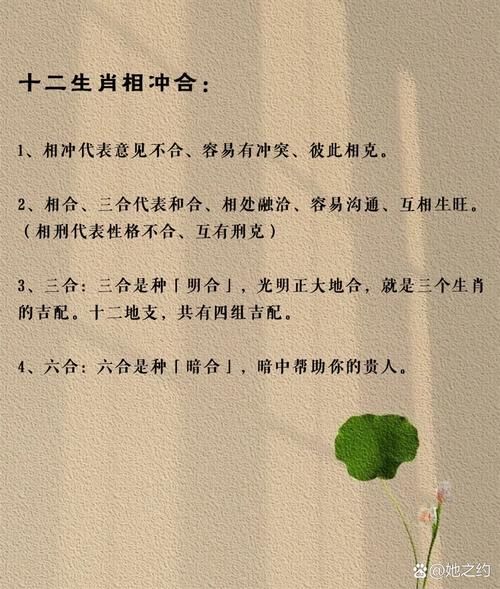 属相相冲能要孩子吗_生肖不合生孩子怎么办