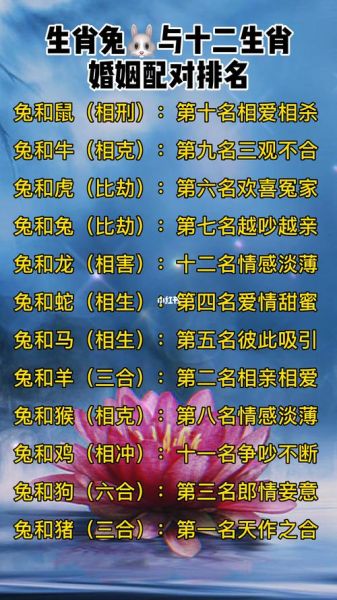 属鼠和属蛇的合不合_属鼠属蛇婚姻配对如何
