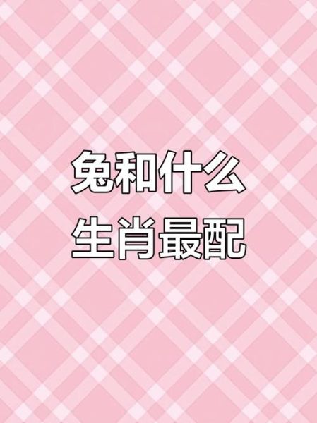 生肖兔和什么属相最配_生肖兔合婚禁忌有哪些