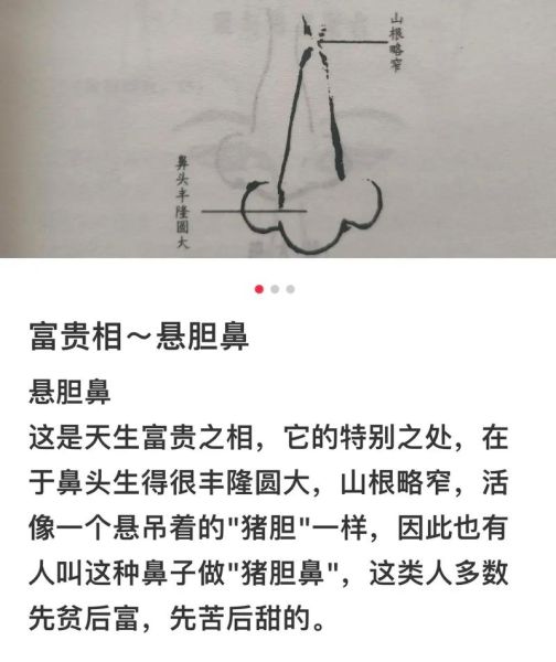 悬胆鼻男人财运_悬胆鼻的男人能发财吗