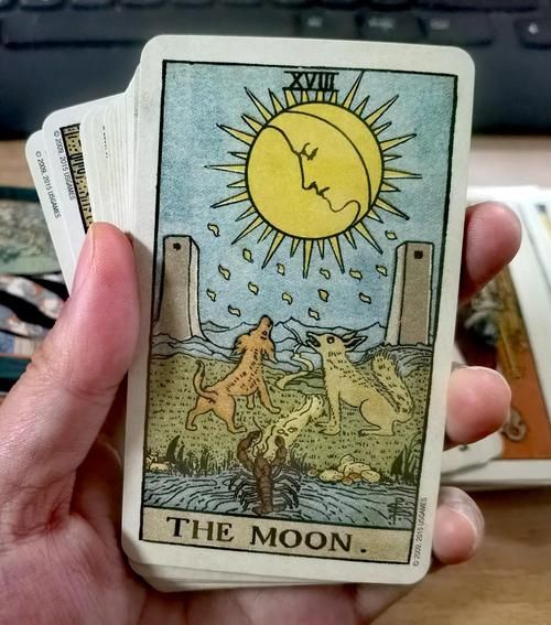 the_moon塔罗牌财运解读_如何逆转财务迷雾