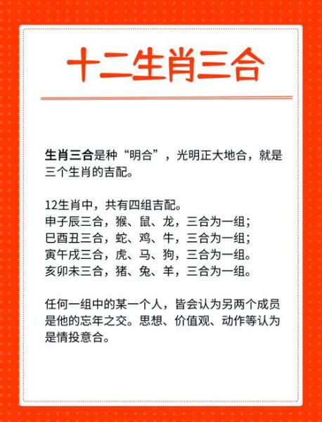 属马和什么属相相冲_马与哪些生肖不合