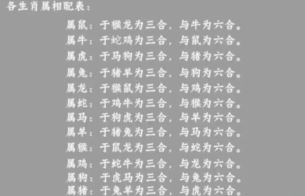狗龙马属相_狗龙马三合吗