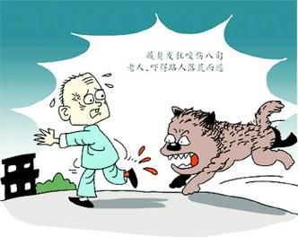 梦到被两只狗咬是什么意思_梦见狗咬预示什么
