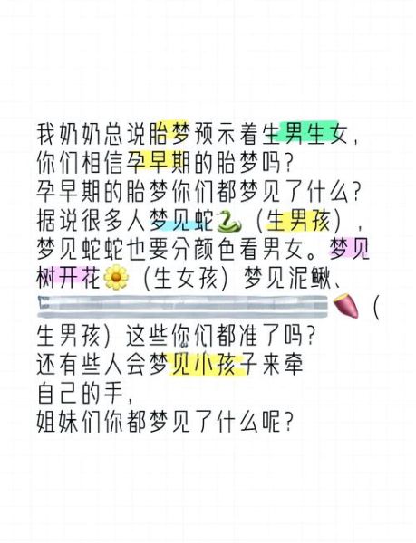 孕妇梦到船是男孩女孩_胎梦解析准吗
