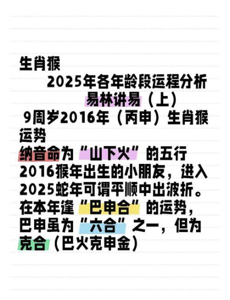 鸡年属猴的运势如何_鸡年属猴人运程详解