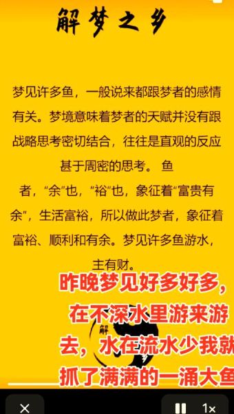 梦见财运是什么意思_梦见财运好不好