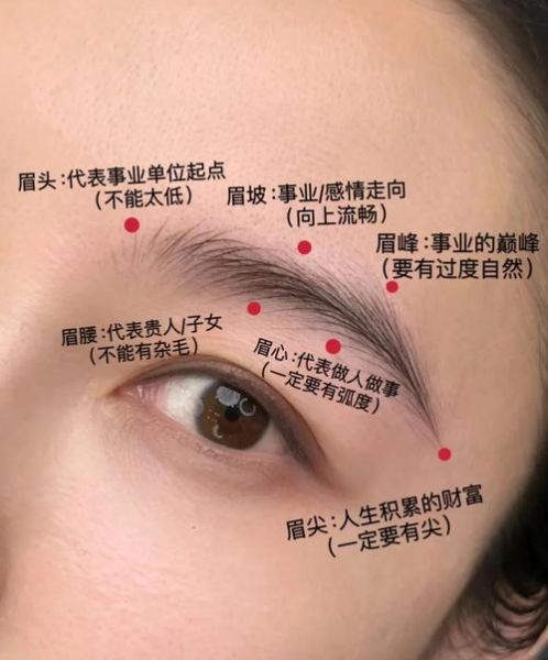 画财运眉毛怎么画_财运眉毛适合什么脸型