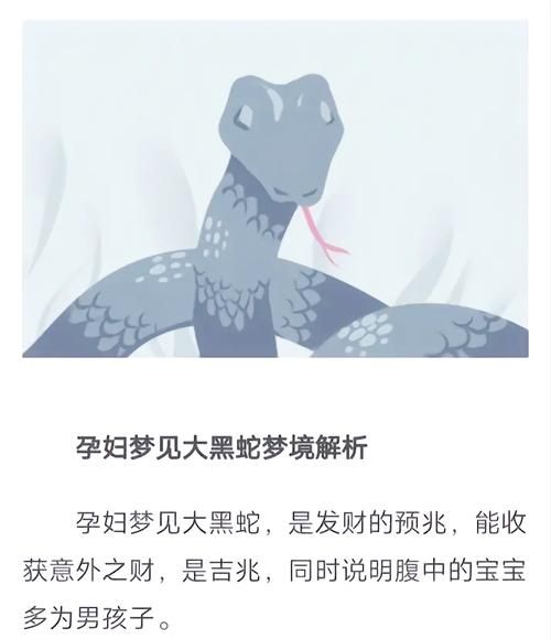 梦见大黑蛇是什么意思_做梦梦到大黑蛇好不好