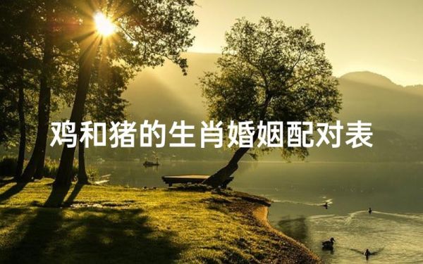 属猪和属鸡的婚姻合不合_猪鸡属相配对好吗