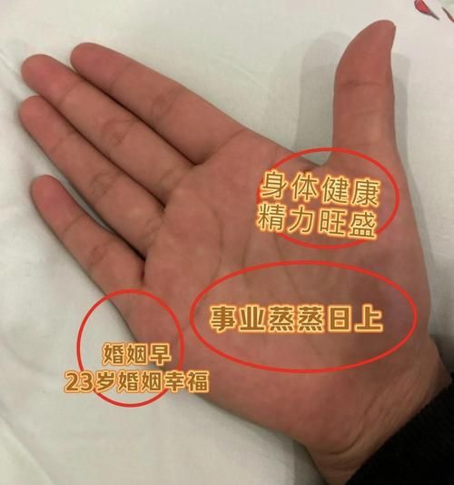 水型面相财运如何_水型人财富密码