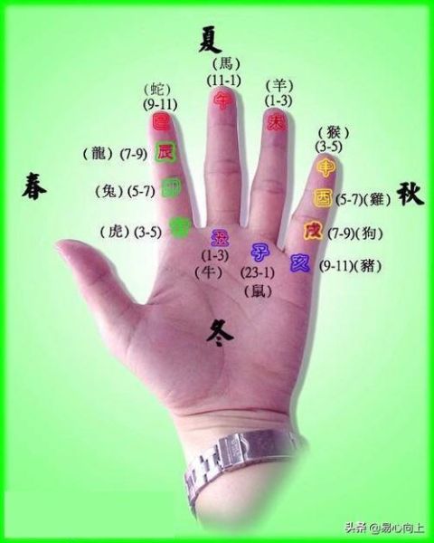 手指属相怎么看_手指长短代表什么生肖
