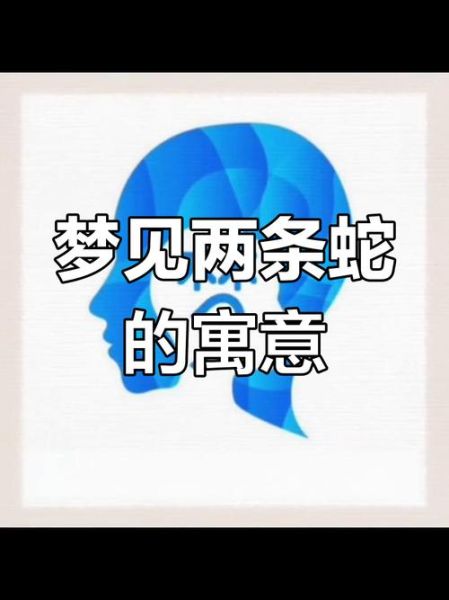 晚上梦到蛇是什么意思_梦见蛇的吉凶预兆