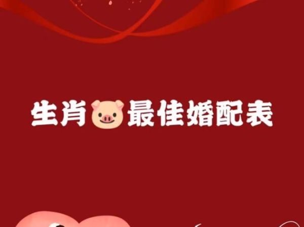 男猪与什么属相最配_属猪男最佳婚配属相