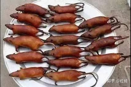 梦到吃老鼠肉是什么意思_梦到吃老鼠肉预示什么