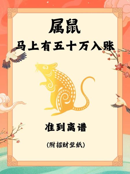 属鼠2024年财运如何_属鼠人2024年如何提升财运