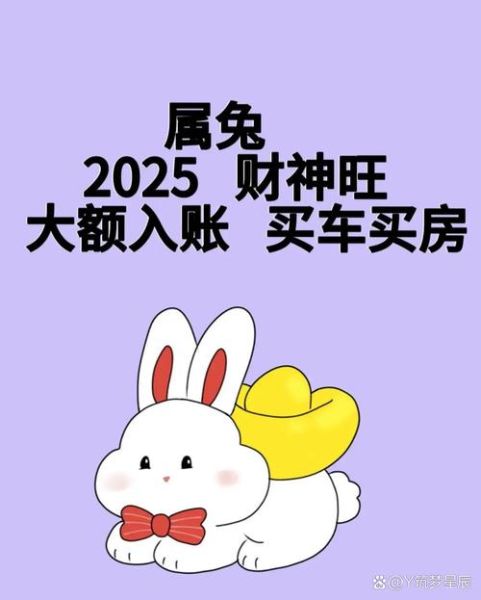 属兔2013年运势如何_属兔2013年财运怎么样