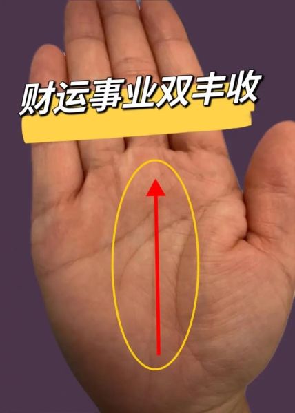 财运线是哪一条_怎么看财运线图解